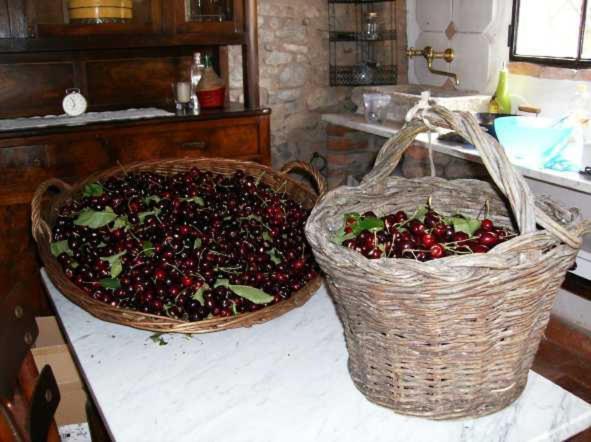 Cascina La Buca Vendégház Castello di Serravalle Kültér fotó